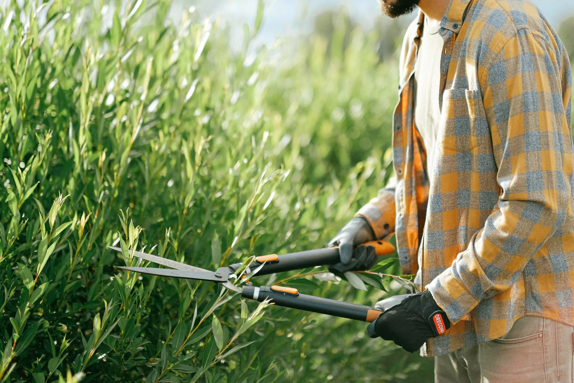 Tuinonderhoud met snoeien van struiken en verwijderen van onkruid