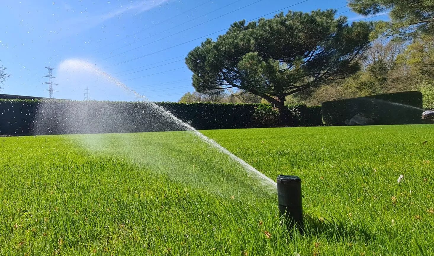 sproeier besproeit groen gazon